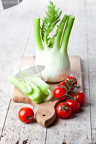 Image of fresh organic fennel, celery and tomatoes 