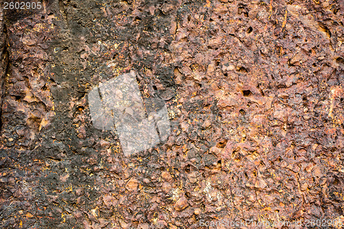 Image of Laterite wall