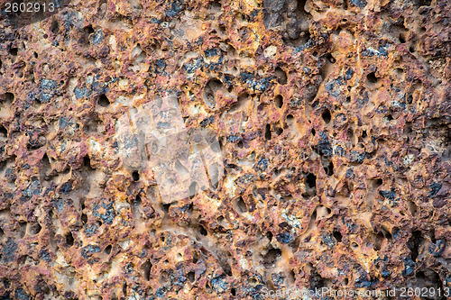 Image of Laterite wall