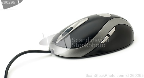 Image of mouse