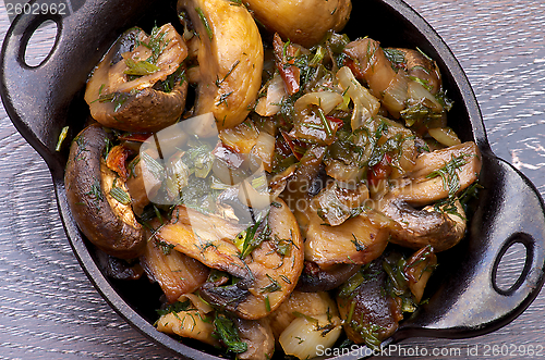 Image of Mushrooms Stew