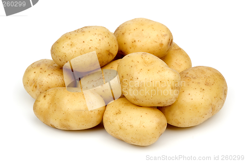 Image of potato