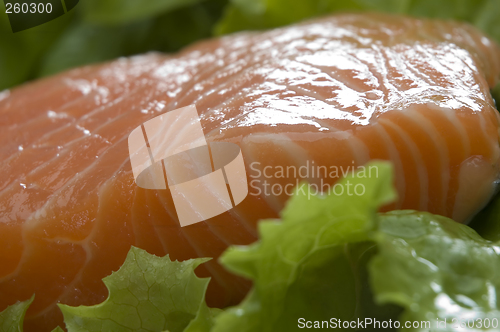 Image of salmon