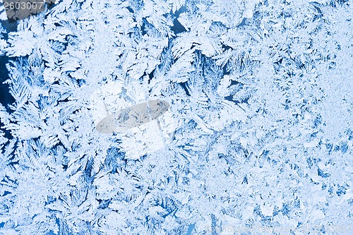 Image of Frost pattern