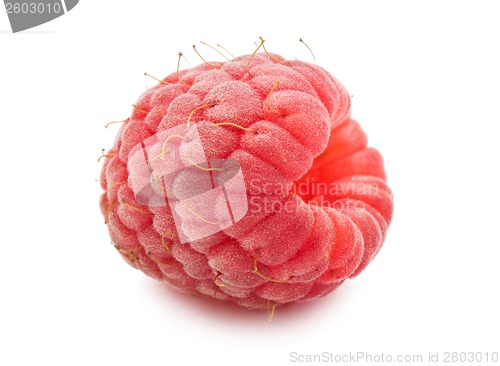 Image of Fresh raspberry