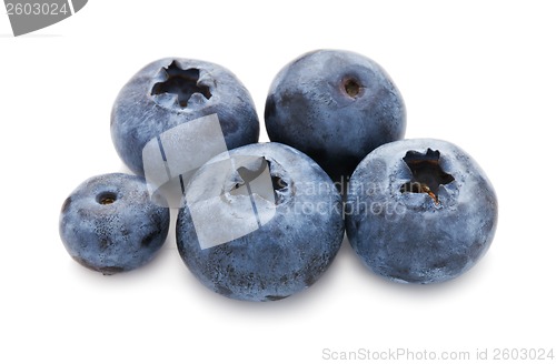 Image of Blueberry