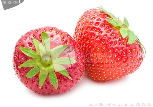 Image of Strawberry