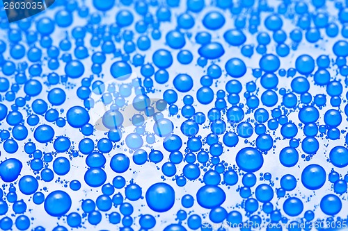 Image of Water drops