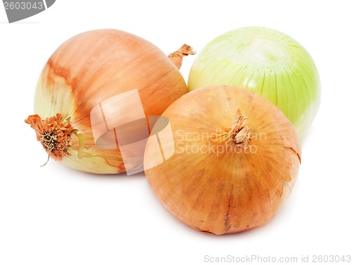 Image of Onion