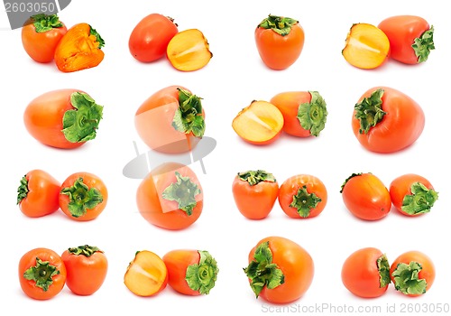 Image of Persimmon