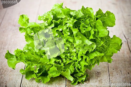 Image of fresh green salad 