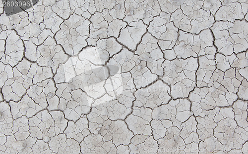 Image of White cracked ground