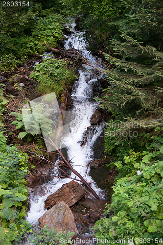 Image of Waterfall in Alps