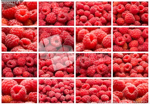 Image of Raspberries