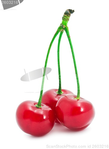 Image of Red cherry