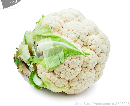Image of Cauliflower