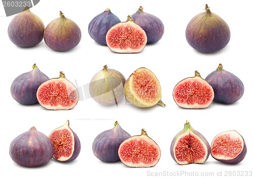 Image of Fig