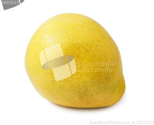 Image of Pomelo