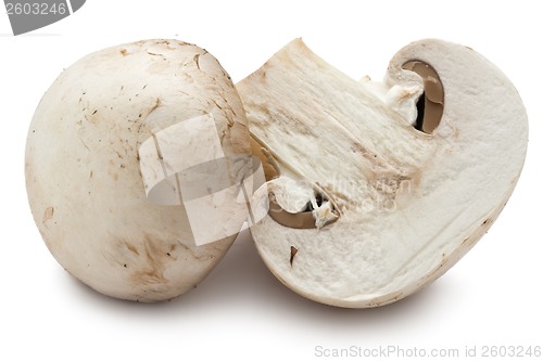 Image of Champignon mushrooms