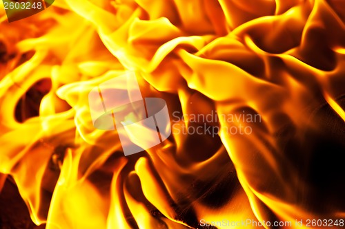 Image of Fire