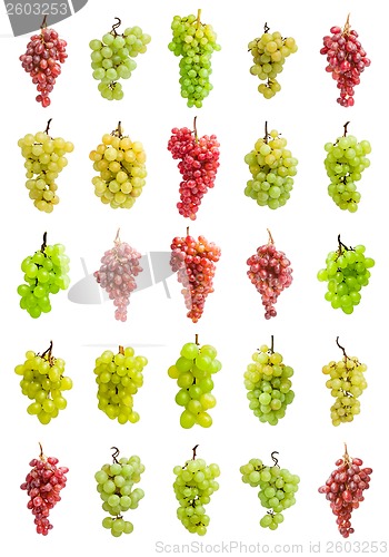 Image of Grapes