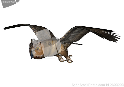 Image of Flying Owl