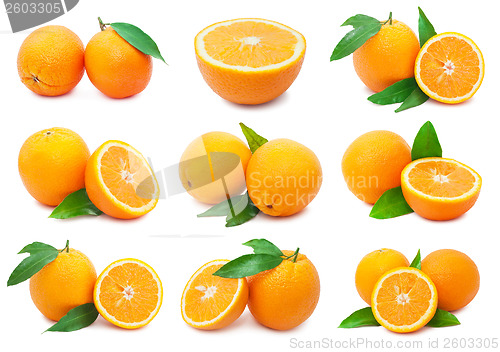 Image of Oranges