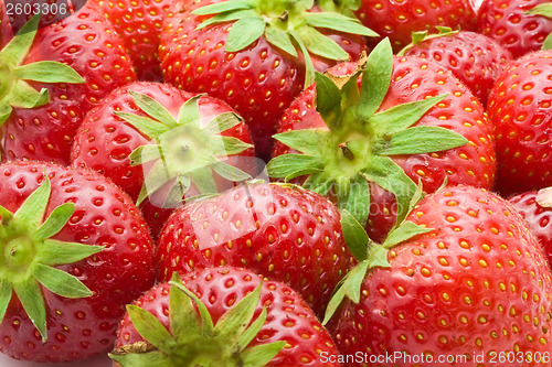 Image of Strawberries