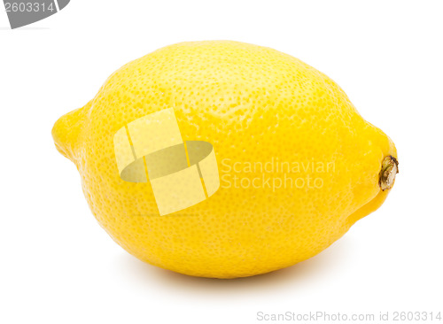 Image of Lemon