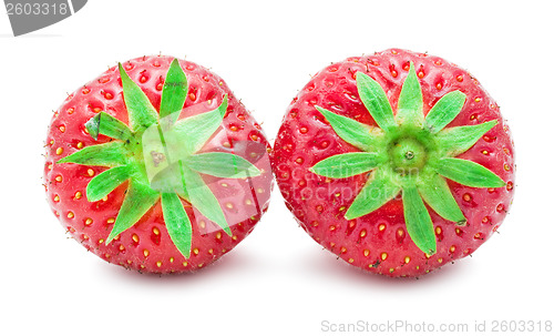 Image of Strawberry