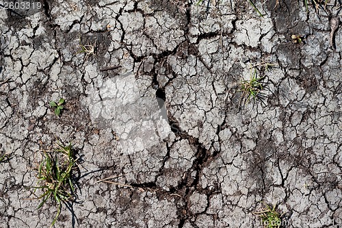 Image of Dry land