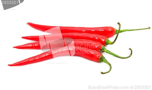 Image of Hot chili pepper