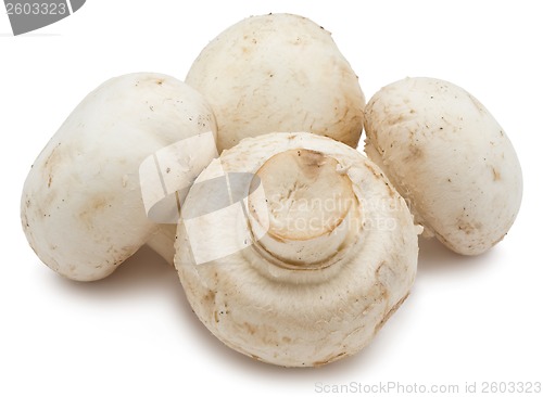 Image of Champignon mushrooms