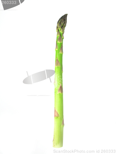 Image of asparagus