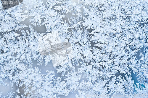 Image of Frost pattern