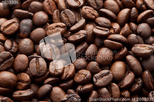 Image of Coffee beans