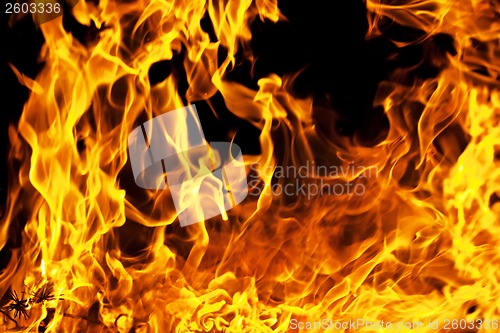 Image of Fire