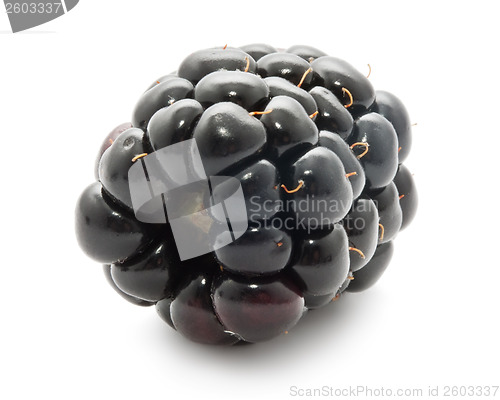 Image of Blackberry