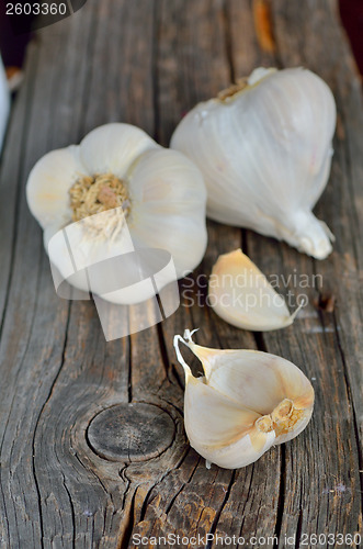 Image of Organic garlic