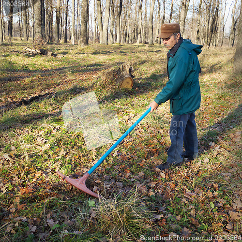 Image of Elderly worker running in the park in october