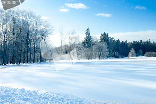 Image of winter scenery at Dobel Germany