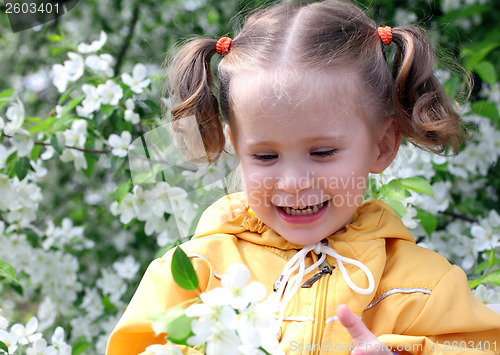 Image of little girl near blossoming apple tree