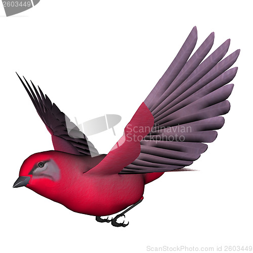 Image of Songbird Tanager