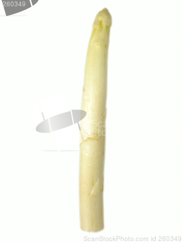 Image of asparagus