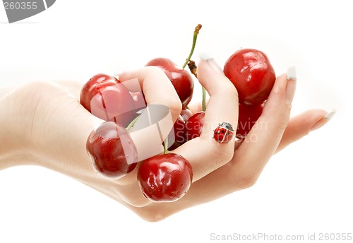 Image of hand full of red cherries