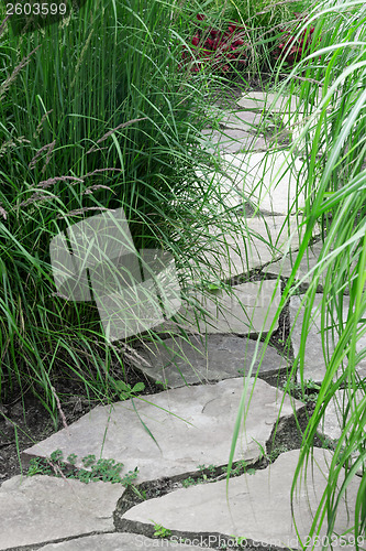 Image of Stone path in the summer garden
