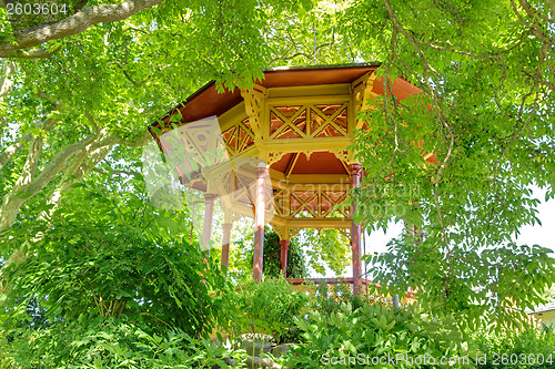 Image of Wooden veranda in the summer garden