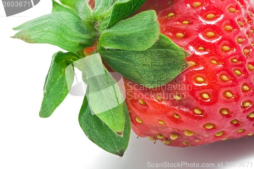Image of Strawberry