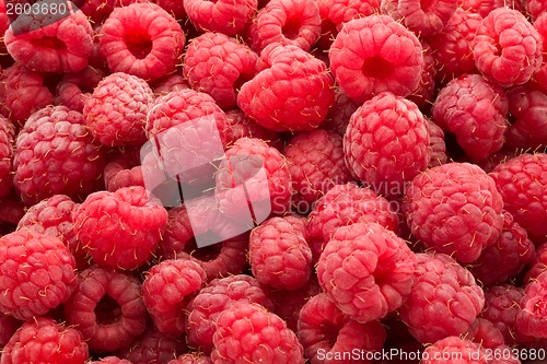 Image of Raspberries