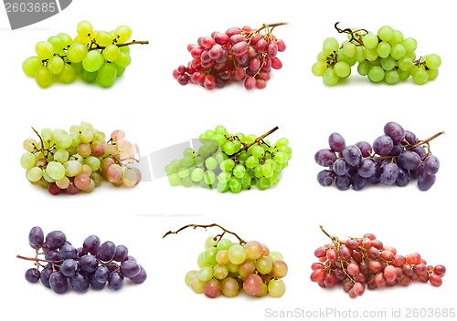 Image of Grapes